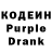 Кодеин Purple Drank HDM panda